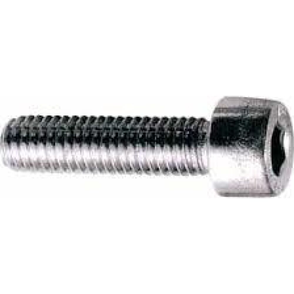 S.S. Socket Head Cap Screw 6x70 A4