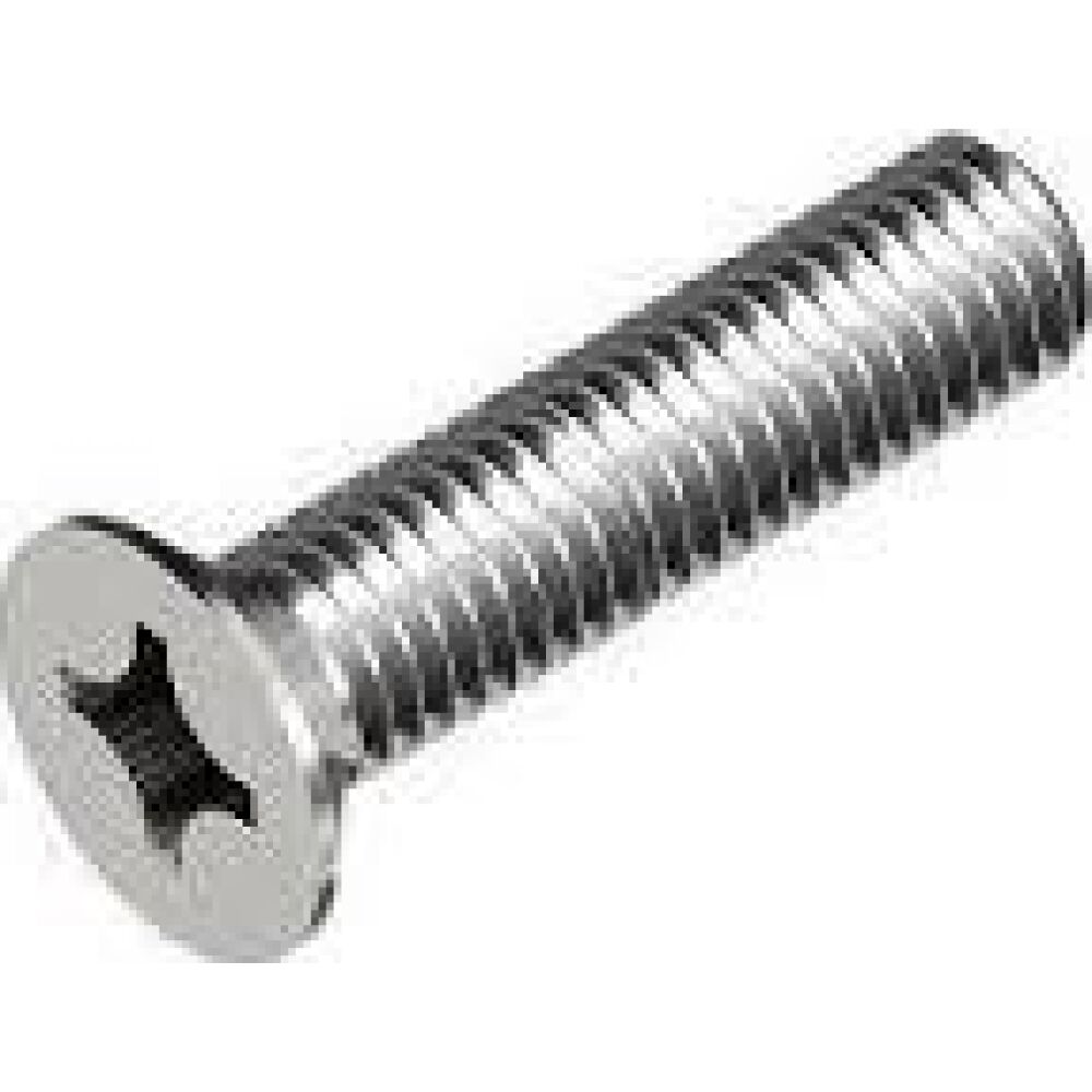 S.S. Countersunk Flat Head Screw With Cross Head 8x25 A4