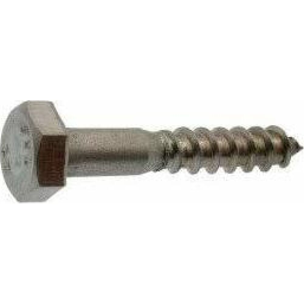 S.S. Coach Screws Hex Head 8x90 A4