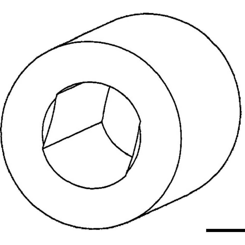 Girante pompe raffreddamento acqua